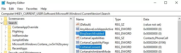 reg parameter BingSearchEnabled